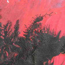 25273_offset-canvas_H40xB30_200_2019_OT